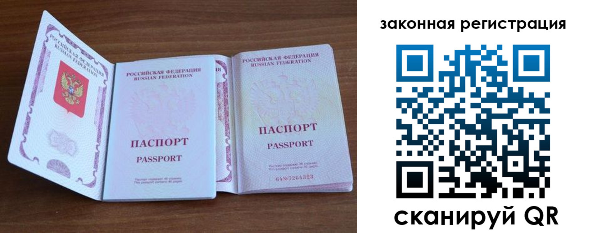 пропишу в квартире в Палласовке